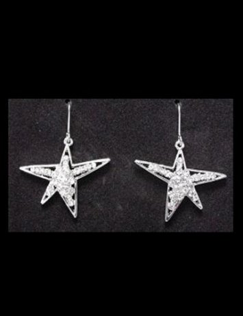 1 in. Star Earrings